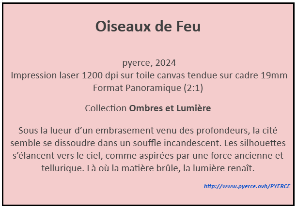 Cartel de Oiseaux de Feu